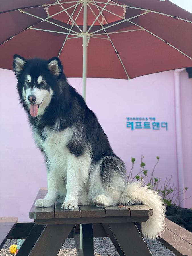 Lefthander Guesthouse Jeju Exterior foto